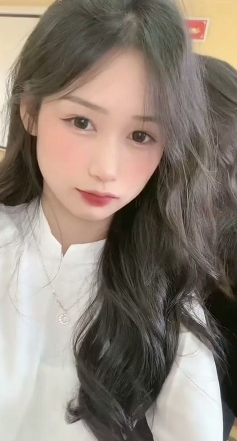 花小厨人间烟火电视剧免费观看