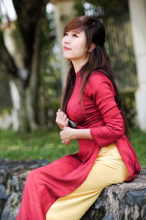 明月知我心电视剧免费正版观看